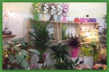 boutique les vendredis fleuris